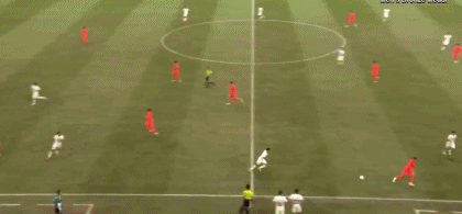 jinnianhui介绍图片